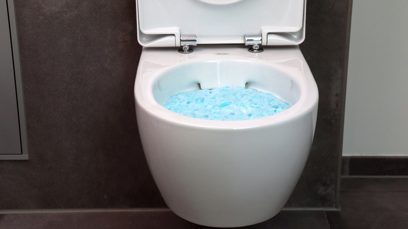 AQUA CLEAN PUR WC Power Pulver Kalklösefunktion & Keramikaufheller 5 kg WC-Reiniger