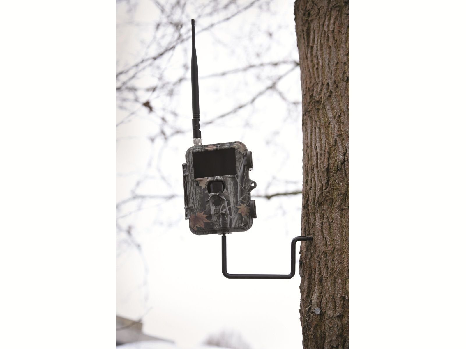 Dörr DÖRR Baumschraube Wildkameras 1/4", für von Dörr Überwachungskamera