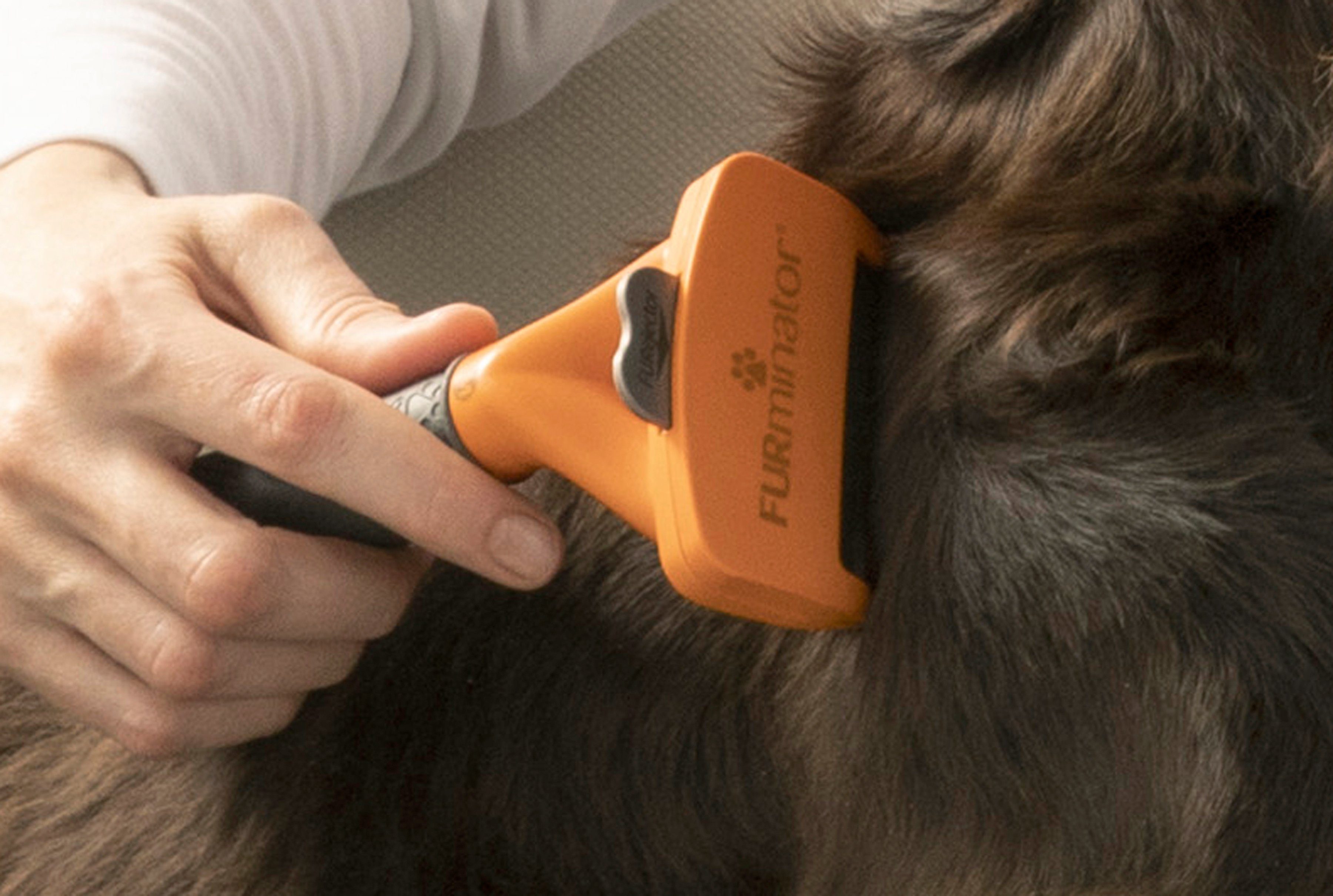 Langhaarpflege mittelgroße Metall, orange M, Fellbürste Hunde FURminator für