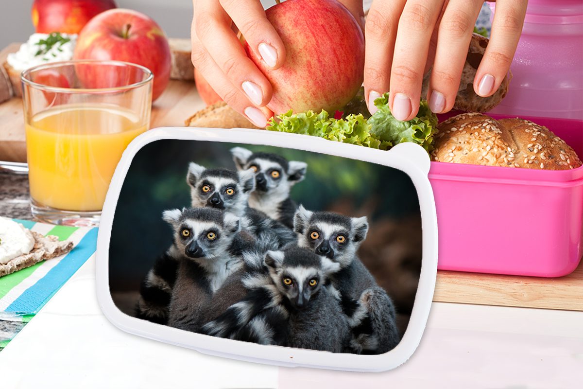 MuchoWow Lunchbox Erwachsene, Mädchen, Brotbox für - Snackbox, Kinder, Kunststoff Brotdose Tiere Kunststoff, (2-tlg), Affen rosa - Ringelschwanzlemuren