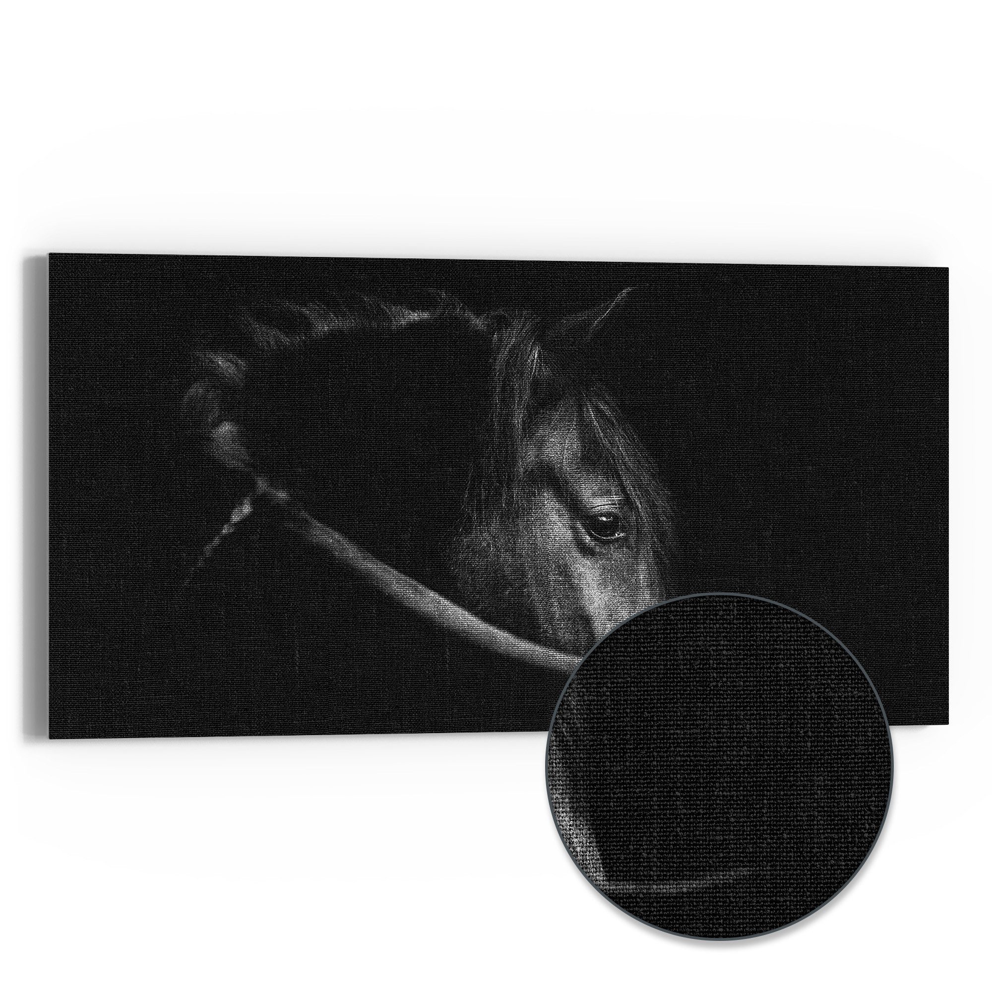 DEQORI Leinwandbild 'Schönes Pferd im Profil', 'Schönes Pferd im Profil', Hybrid Leinwand Bild Wandbild flach modern