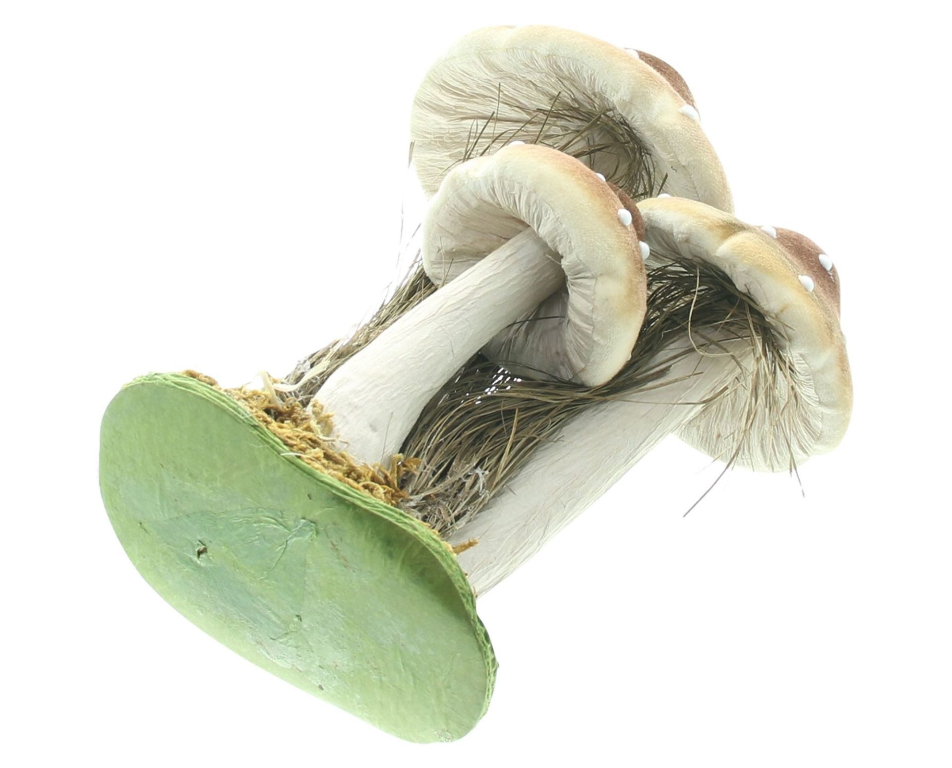 Home-trends24.de Dekofigur Fliegenpilz Pilz Herbst Deko Pilze Figur Dekofigur braun weiß 25cm (1 St) – Bild 4 von 4