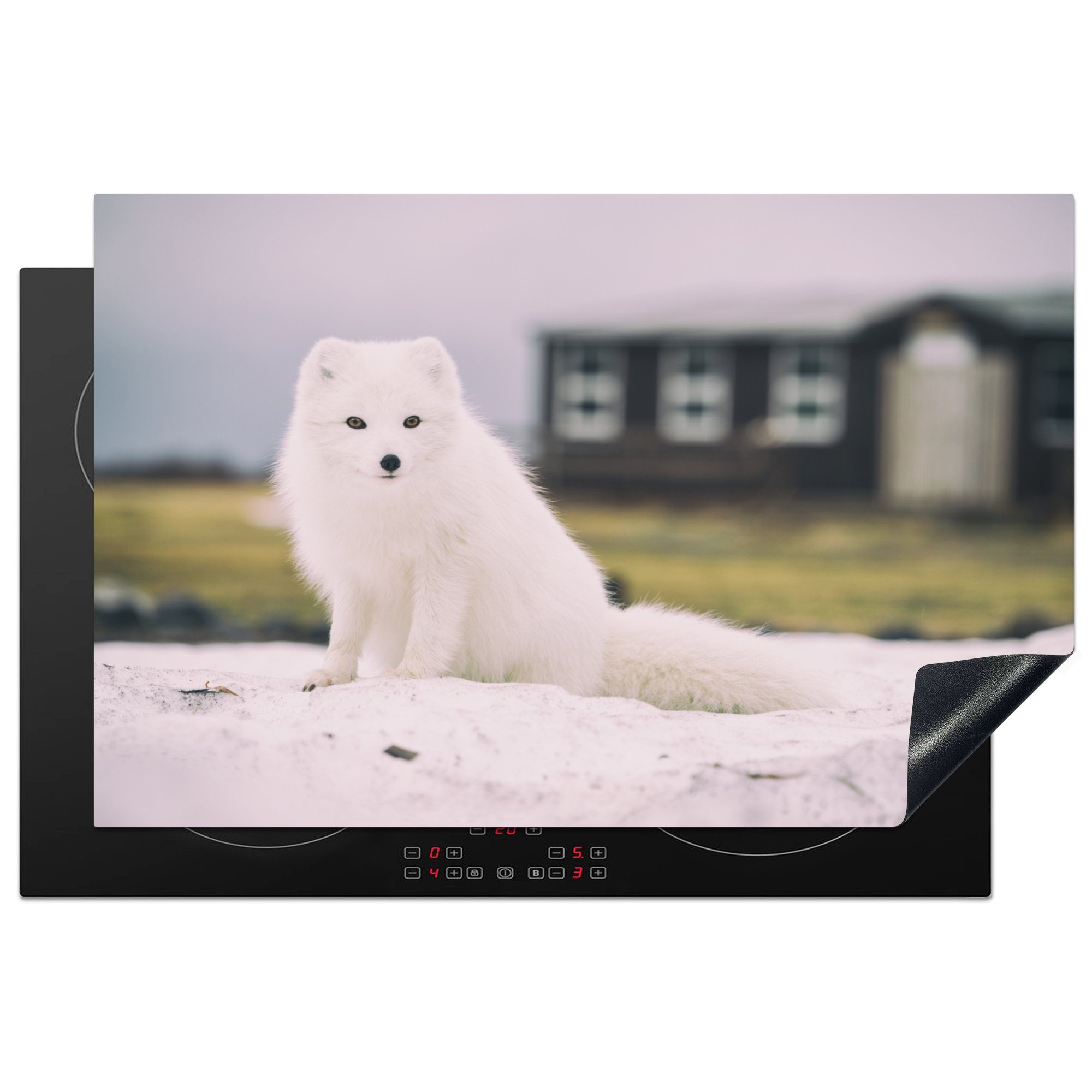 MuchoWow Herdblende-/Abdeckplatte Fuchs - Weiß - Fell, Vinyl, (1 tlg), 81x52 cm, Induktionskochfeld Schutz für die küche, Ceranfeldabdeckung