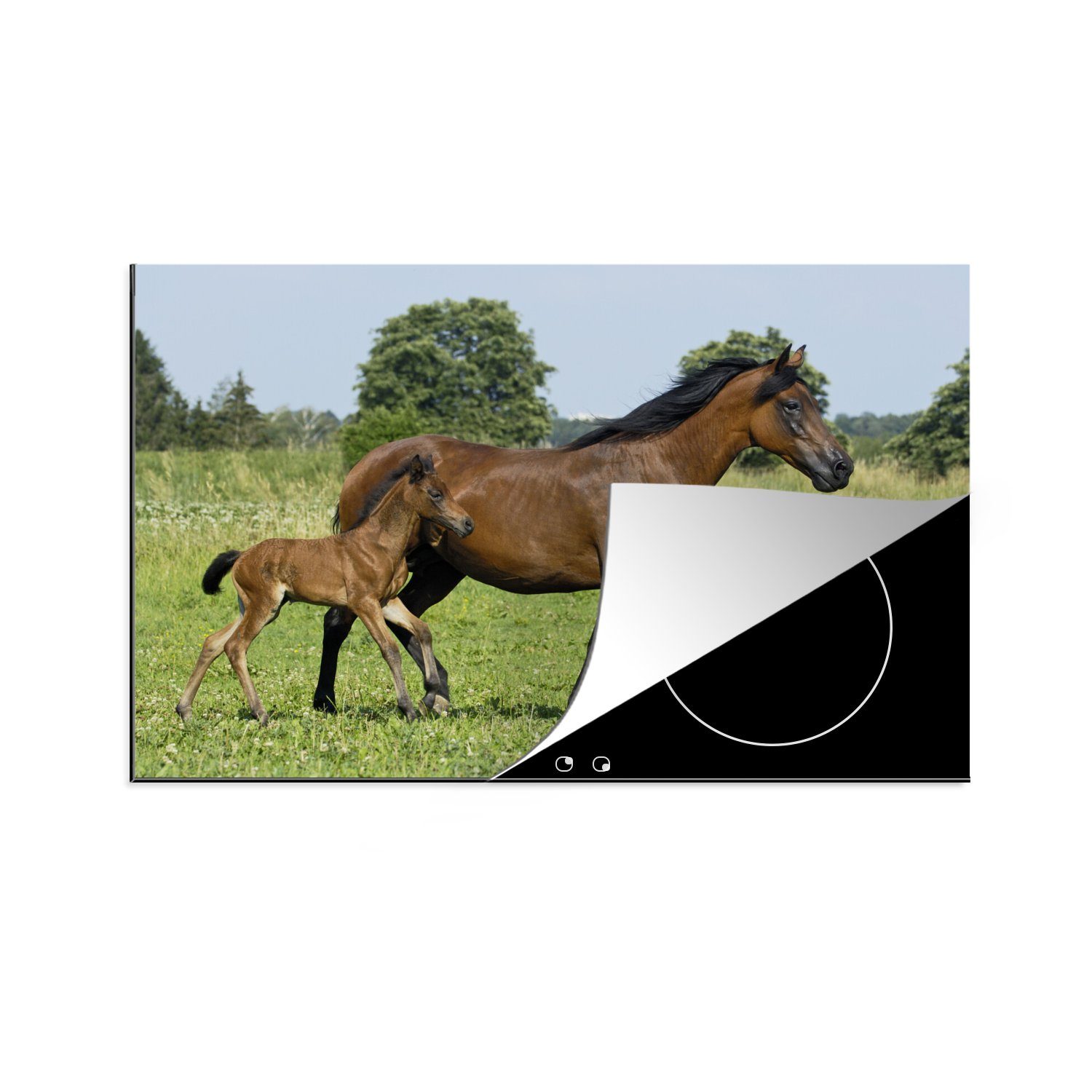 MuchoWow Herdblende-/Abdeckplatte Pferde - Gras - Frühling, Vinyl, (1 tlg), 78x52 cm, Mobile Arbeitsfläche nutzbar, Ceranfeldabdeckung