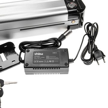 vhbw für E-Bike Akku Li-Ion 8800 mAh (24 V)