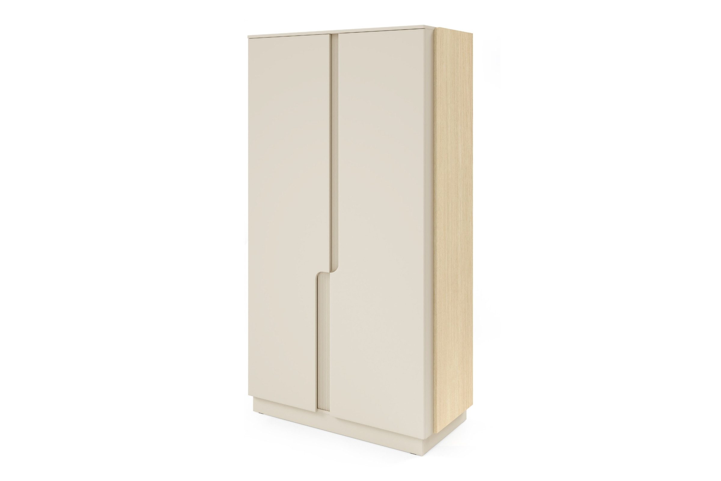 Deine Möbel 24 Kleiderschrank PAURO 01 2-türig mit Kleiderstange & Einlegeböden, PAURO - Kollektion (Set, 1-St., skandinavisches Design) moderner Garderobenschrank 100 cm mit viel Stauraum