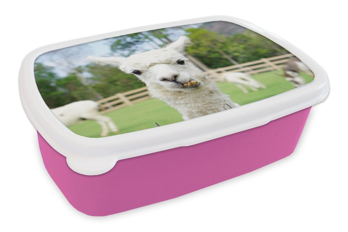 MuchoWow Lunchbox Alpaka - Nahaufnahme - Pflanzen, Kunststoff, (2-tlg), Brotbox für Erwachsene, Brotdose Kinder, Snackbox, Mädchen, Kunststoff rosa