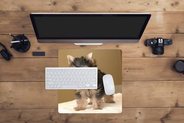MuchoWow Gaming Mauspad Porträt eines Yorkshire Terriers (1-St), Mousepad mit Rutschfester Unterseite, Gaming, 40x40 cm, XXL, Großes