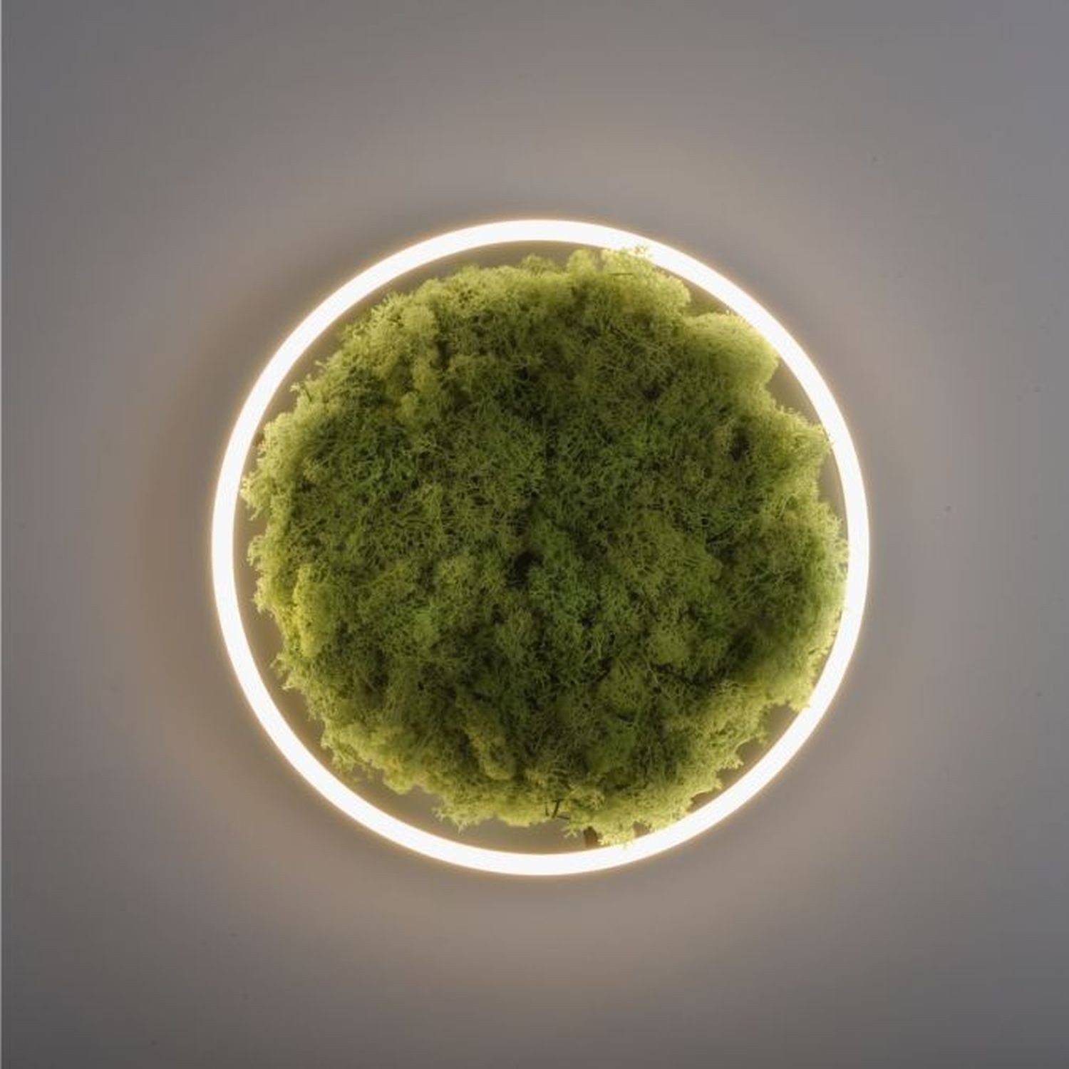 Licht-Erlebnisse Deckenleuchte DARMIS, LED fest integriert, Warmweiß, LED warmweißes Licht 3000 K 2650 lm D: 39,3 cm rund Schwarz Moos