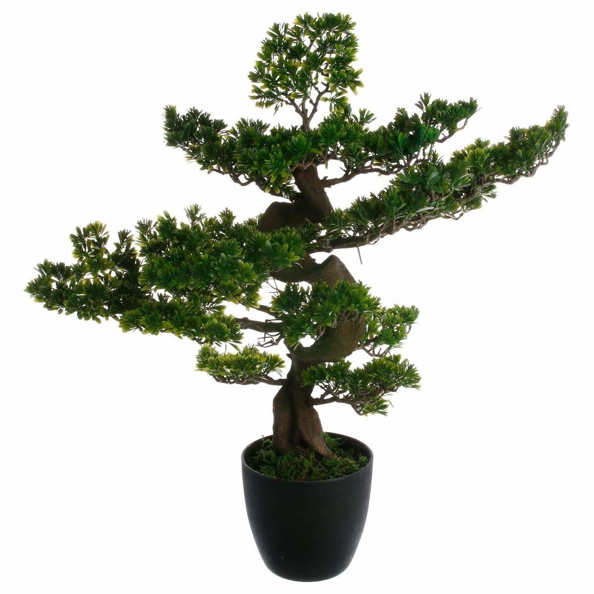 Kunstpflanze BONSAI Zimmerpflanze, Atmosphera Créateur d'intérieur, Höhe 80 cm