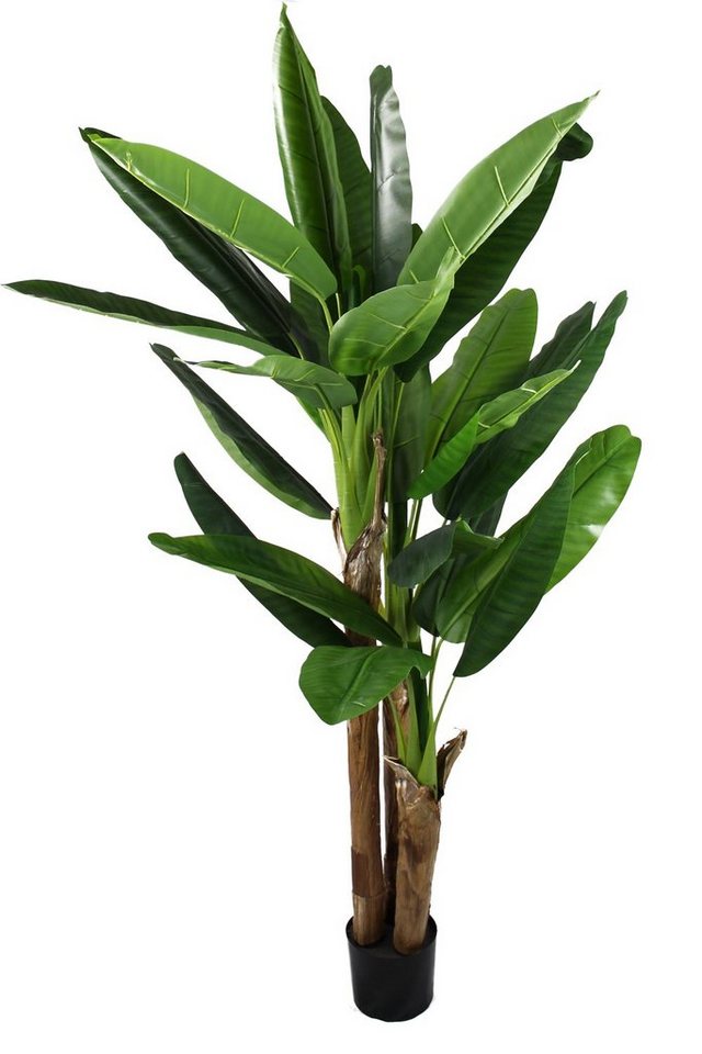 Aralie Real Touch 100cm grün im Topf ZJ Kunstpflanzen künstliche Pflanzen