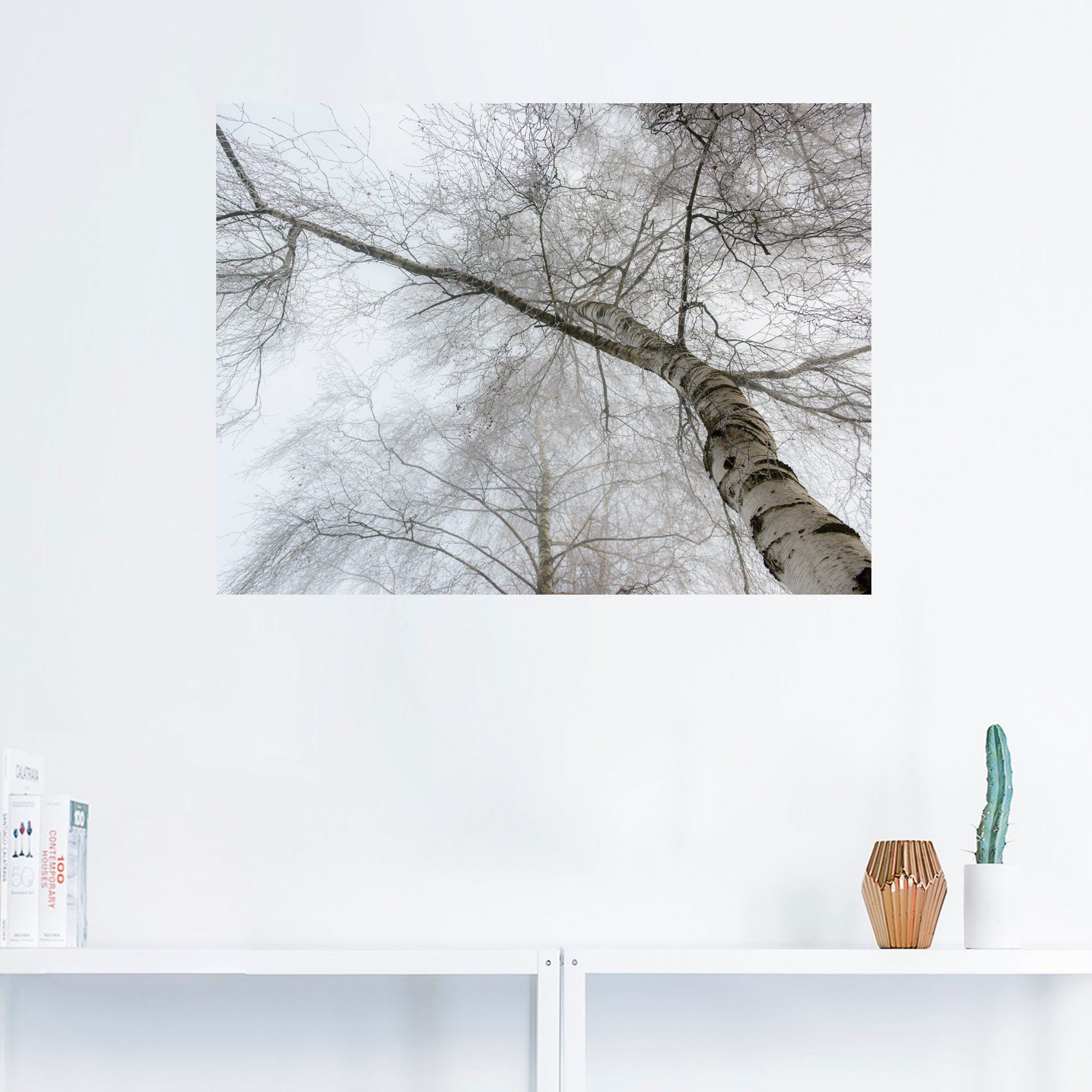 Artland Wandbild Winter Birke, Bäume in Wandaufkleber als (1 oder St), Größen Poster versch. Leinwandbild
