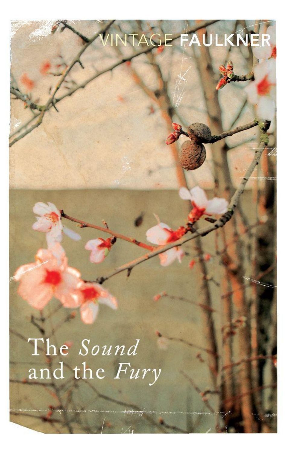 The Sound and the Fury / William Faulkner