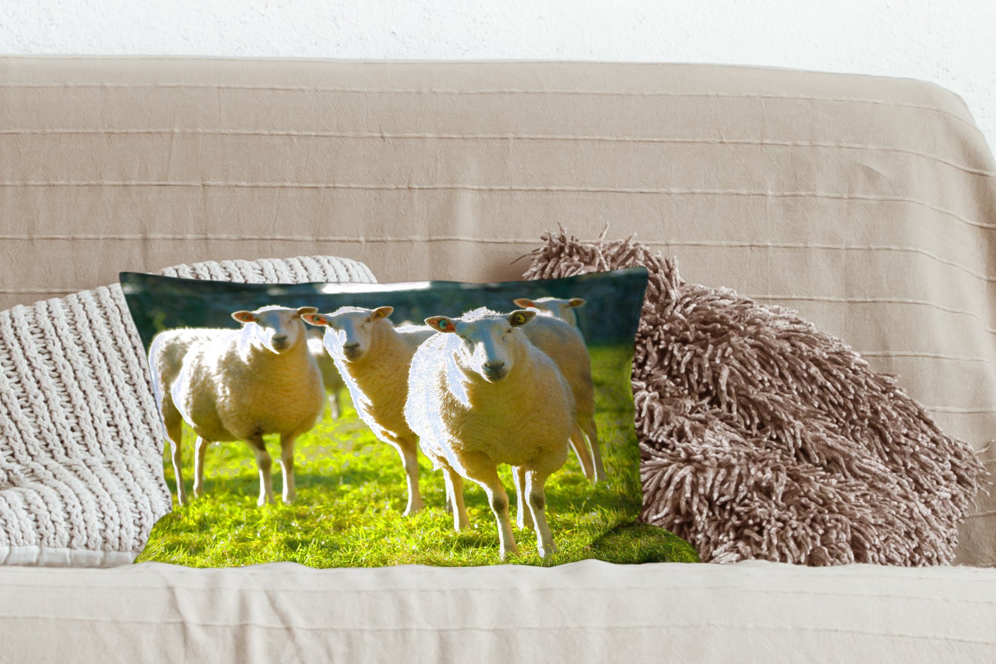 - Dekokissen Dekokissen Füllung, - MuchoWow Dekoration, Wolle, Tiere Wohzimmer Schlafzimmer Schafe Zierkissen, mit