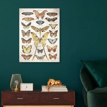Posterlounge Acrylglasbild Mike Koubou, Schmetterlinge, Vintage Illustration