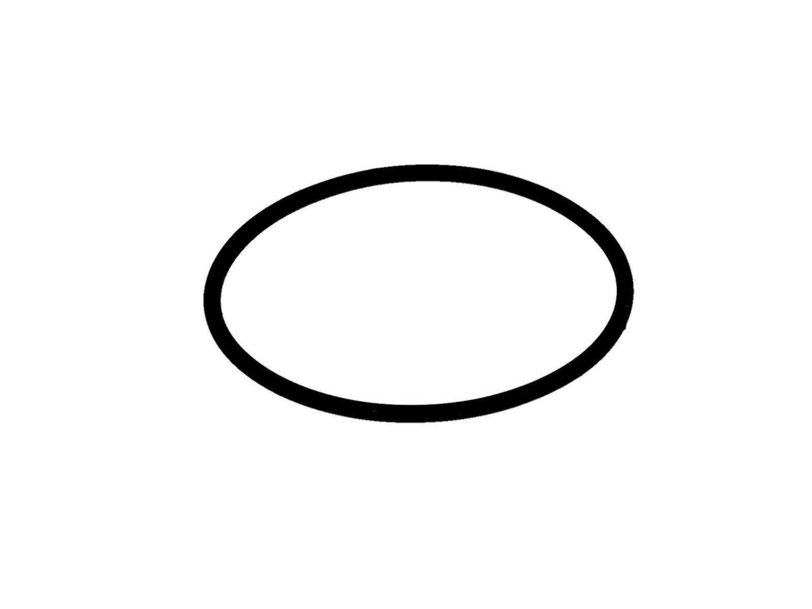 HANSA Dichtungsring O-Ring  40 x 2 mm 59911507