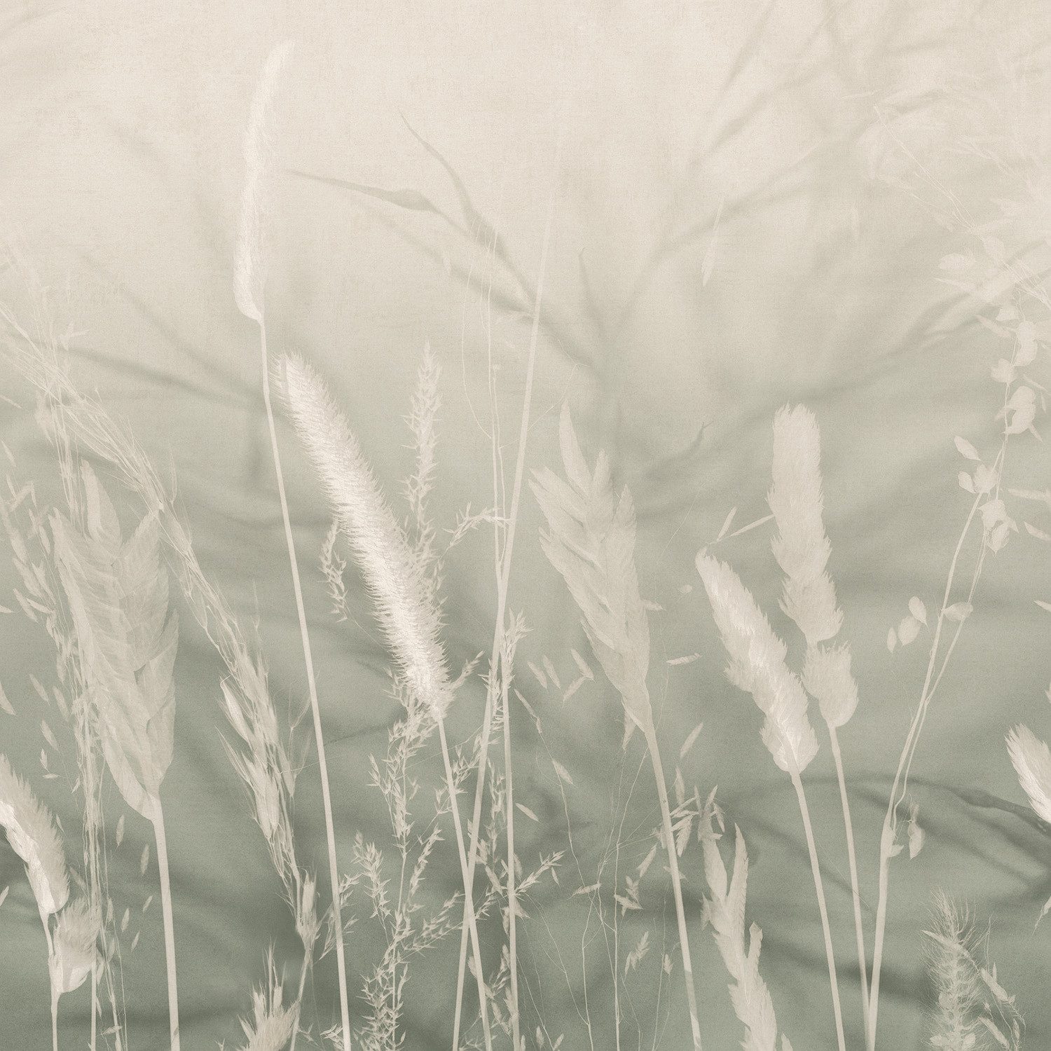 Rasch Fototapete SCHÖNER WOHNEN-Kollektion Fototapete WHISPERING MEADOW 360134, strukturiert, natürlich, naturalistisch, botanisch, (1 Rolle, 1 St)