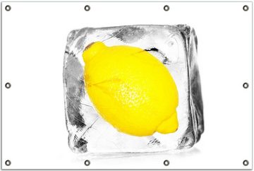 Wallario Sichtschutzzaunmatten Zitrone in Eiswürfel - Eiskaltes Obst
