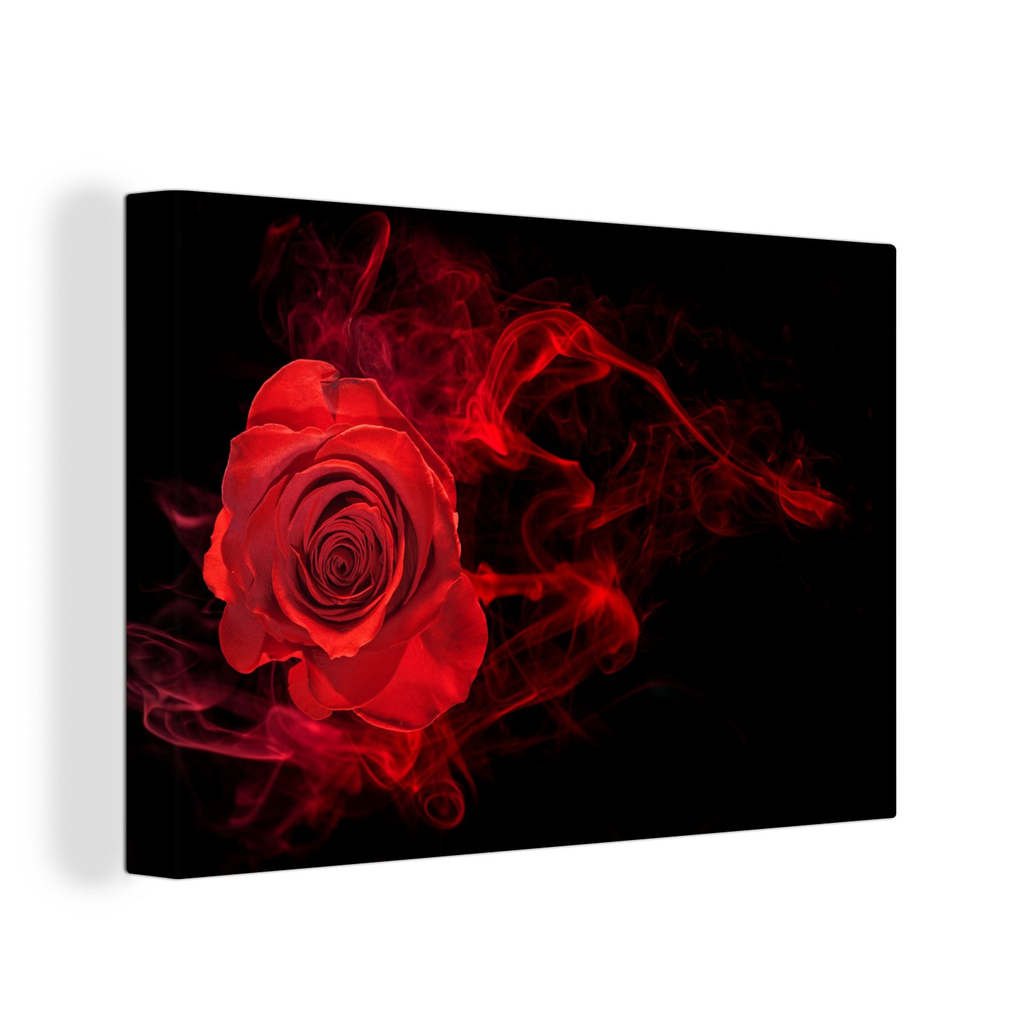 OneMillionCanvasses® Leinwandbild Rosen - Rot - günstig online kaufen