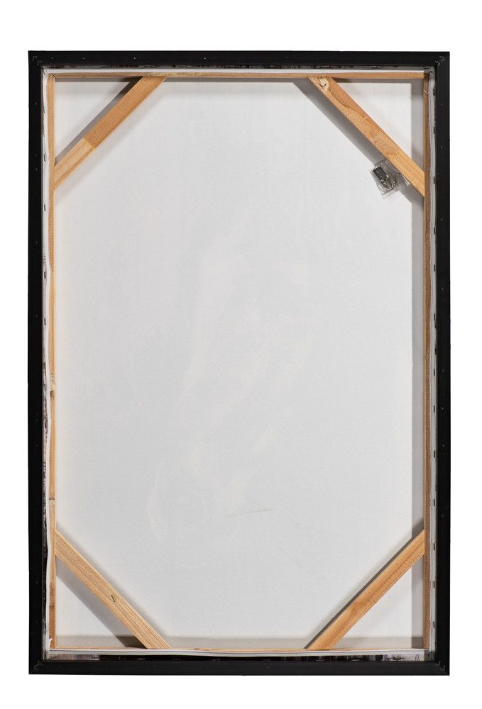 ArtUniverse Gemälde Grüner Ornament-Ara 62 x 92 cm, Tiermotiv