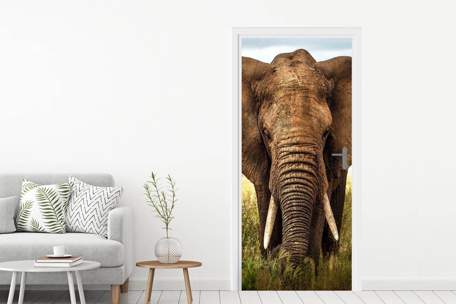 - St), Elefant Fototapete Türaufkleber, für Tiere bedruckt, (1 Natur, MuchoWow - Matt, cm Gras 75x205 - Tür, Türtapete