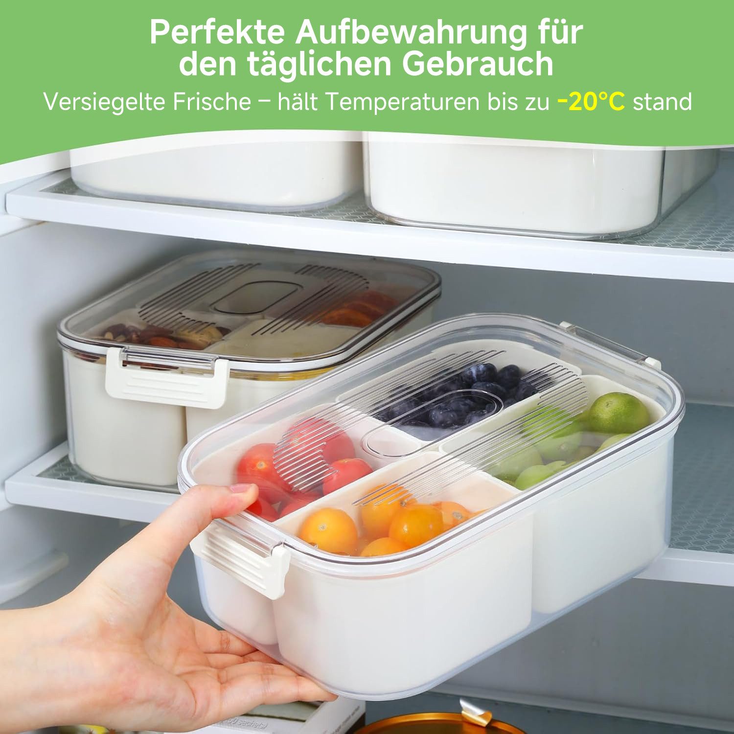 Elegear Vorratsdose Snackbox mit 4 Fächern, Snackschale Kinder, Snackteller mit Deckel, Polypropylen, (1-tlg), Wiederverwendbare Portable Snack Box Snackdose, Spülmaschinenfest