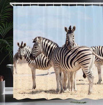 Abakuhaus Duschvorhang Moderner Digitaldruck mit 12 Haken auf Stoff Wasser Resistent Breite 175 cm, Höhe 180 cm, Zebra Namibia Afrika Safari