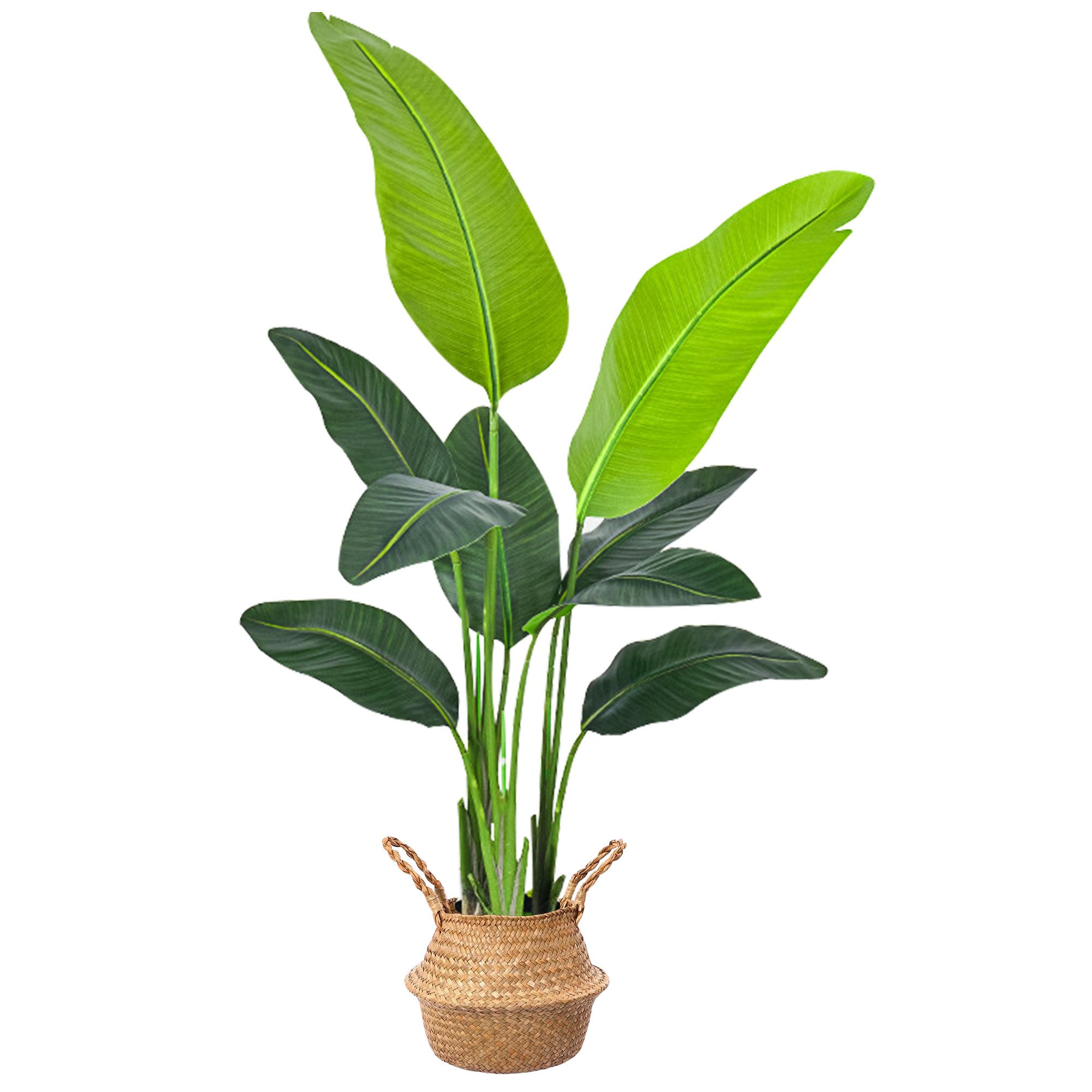 Kunstbaum Kunstpflanze Strelitzie Künstliche Pflanze, Höhe 120 cm/160 cm St günstig online kaufen