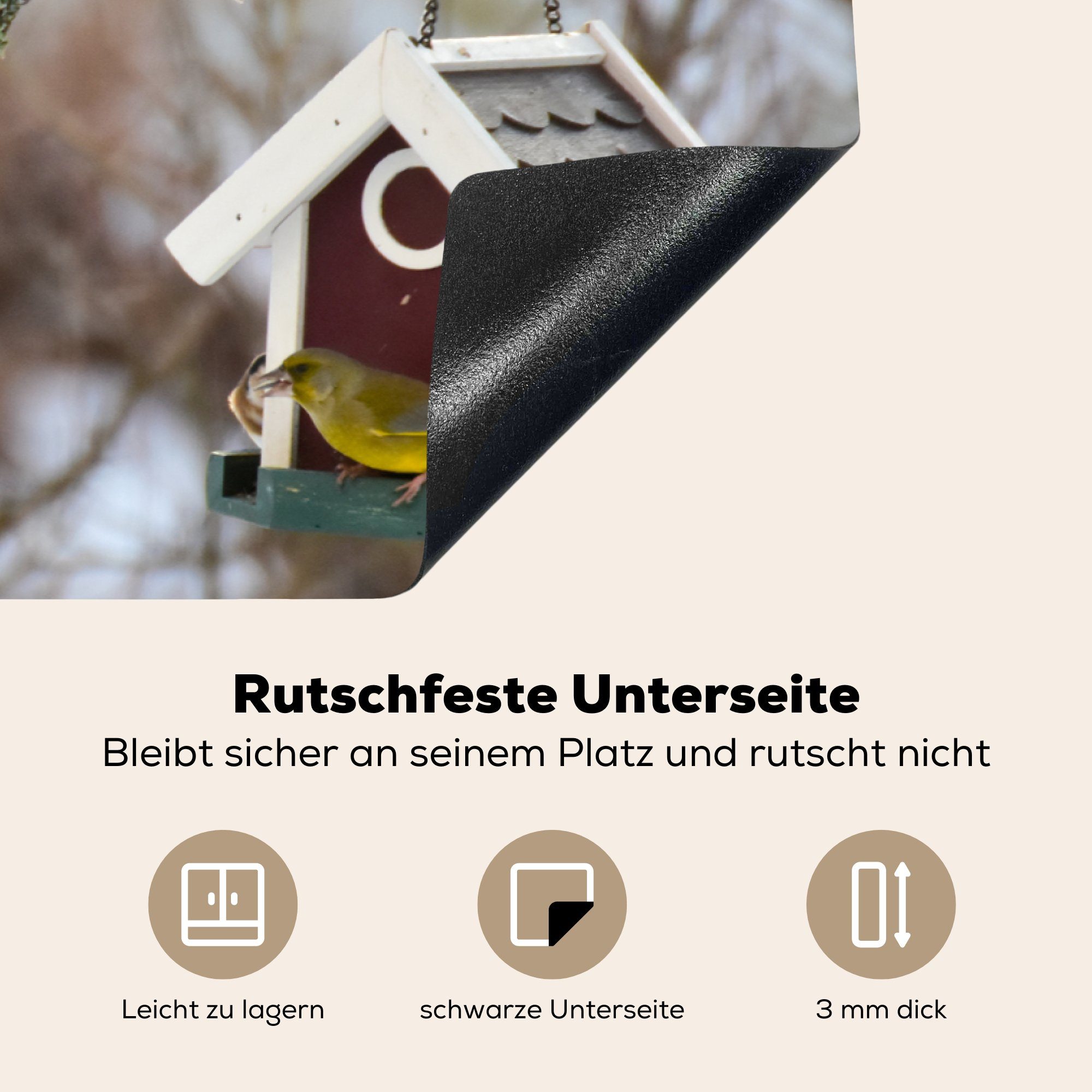 Vogelhaus Vögeln, Ceranfeldabdeckung Schutz für tlg), cm, mit küche, die Vinyl, Induktionskochfeld Herdblende-/Abdeckplatte 81x52 MuchoWow (1