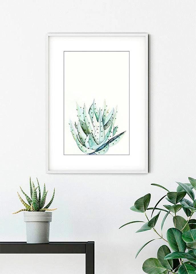 Komar Poster Aloe Watercolor, (1 St), Wohnzimmer Pflanzen Schlafzimmer, Blätter, Kinderzimmer