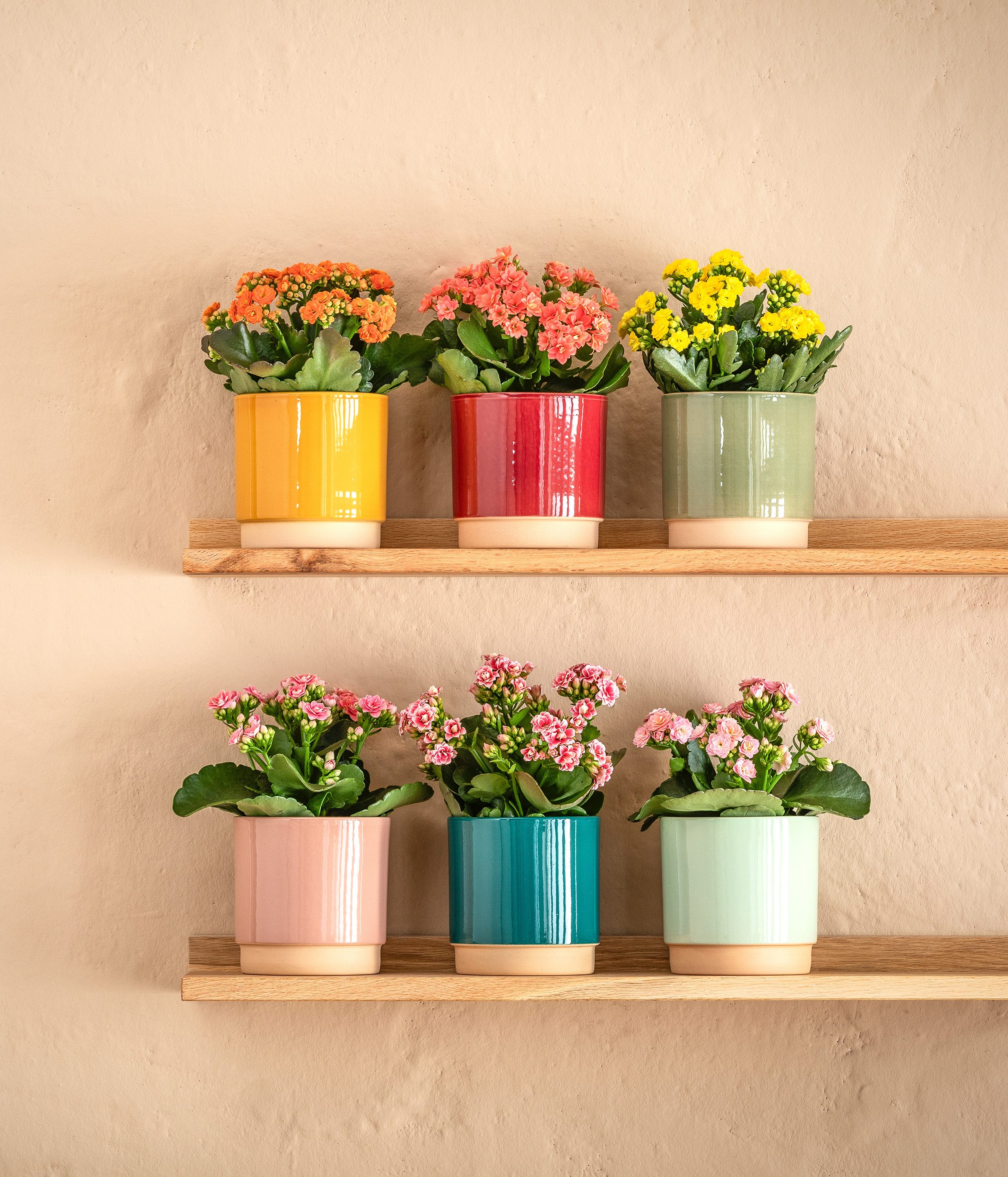 Dehner Übertopf Eno, glasierte Keramik, versch. Farben, runder Indoor Blumentopf in modernem Design