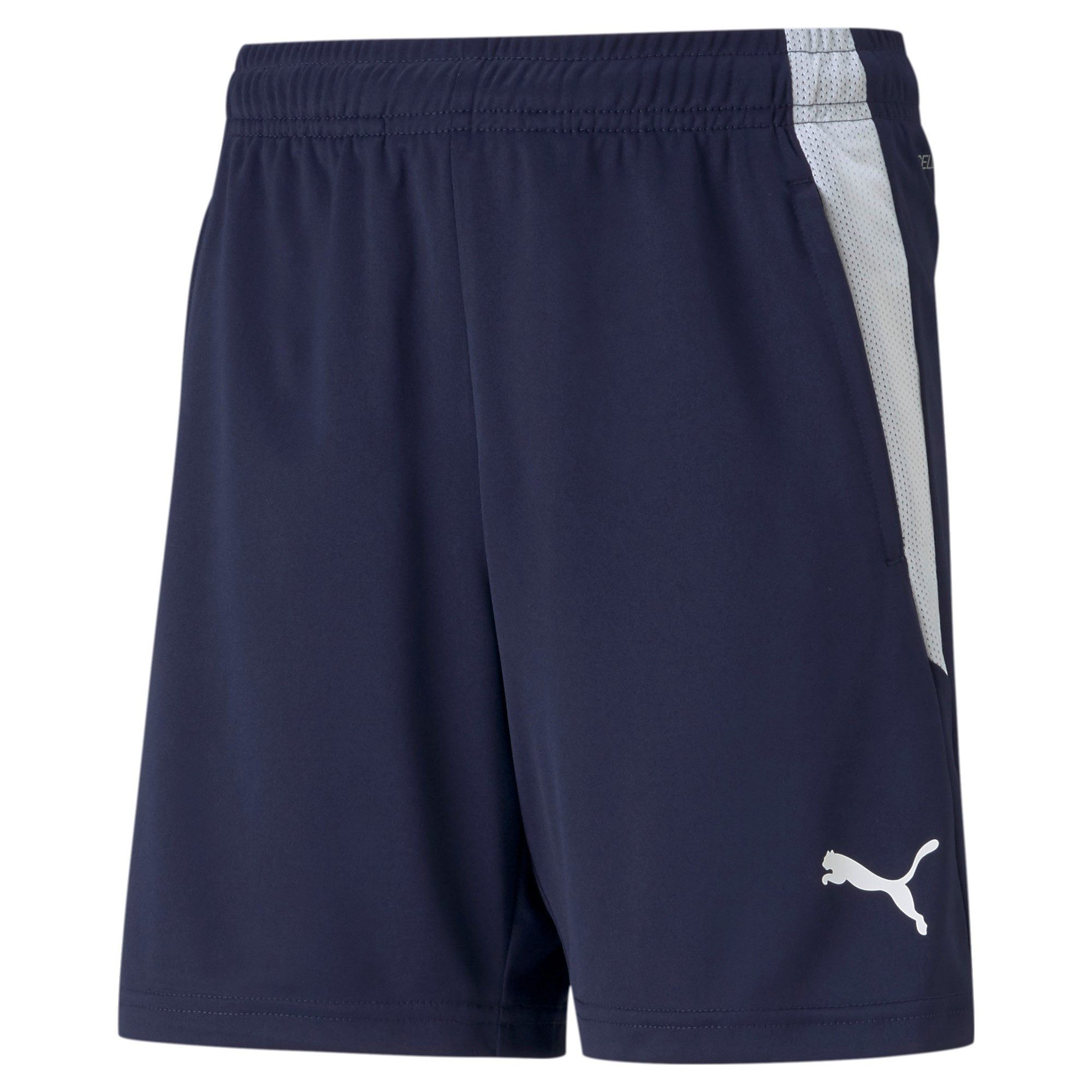 PUMA Trainingsshorts Puma Kinder Short teamLIGA Training Shorts Jr 657250