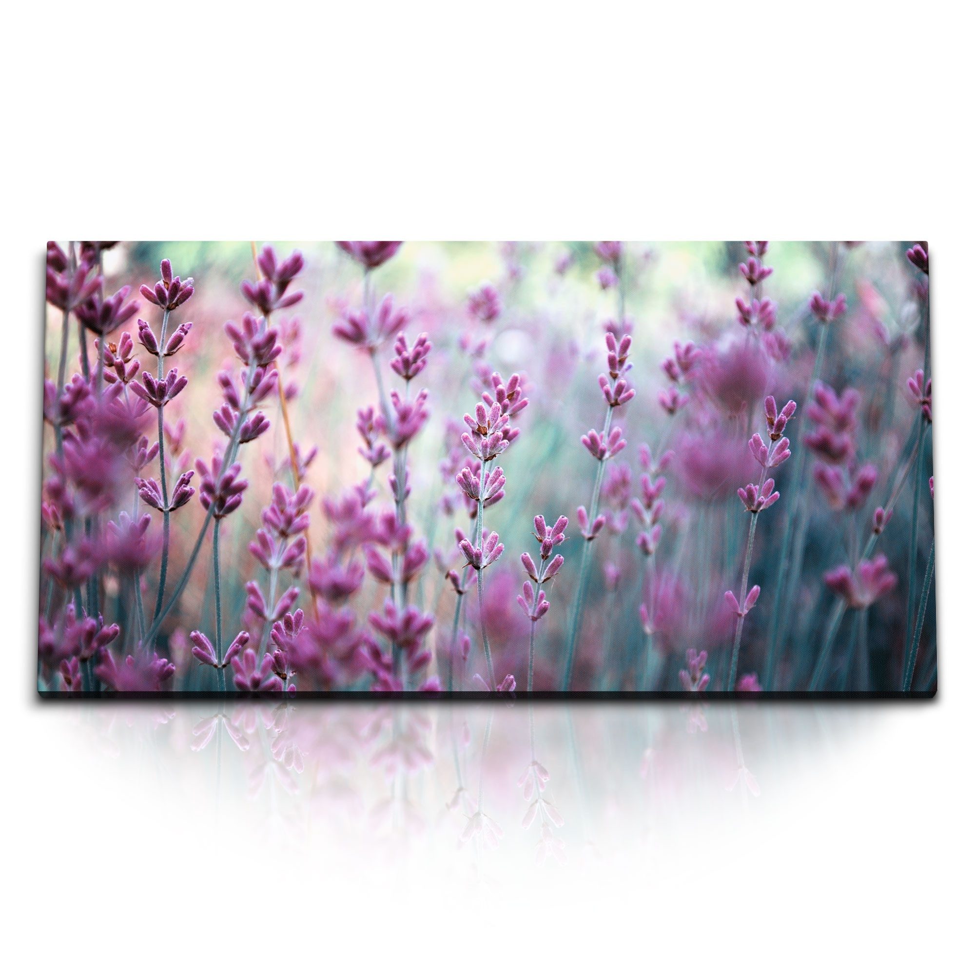 Leinwandbild Kunstdruck Bilder 120x60cm Rosa Lavendel Blumen Blüten Lavendelfeld