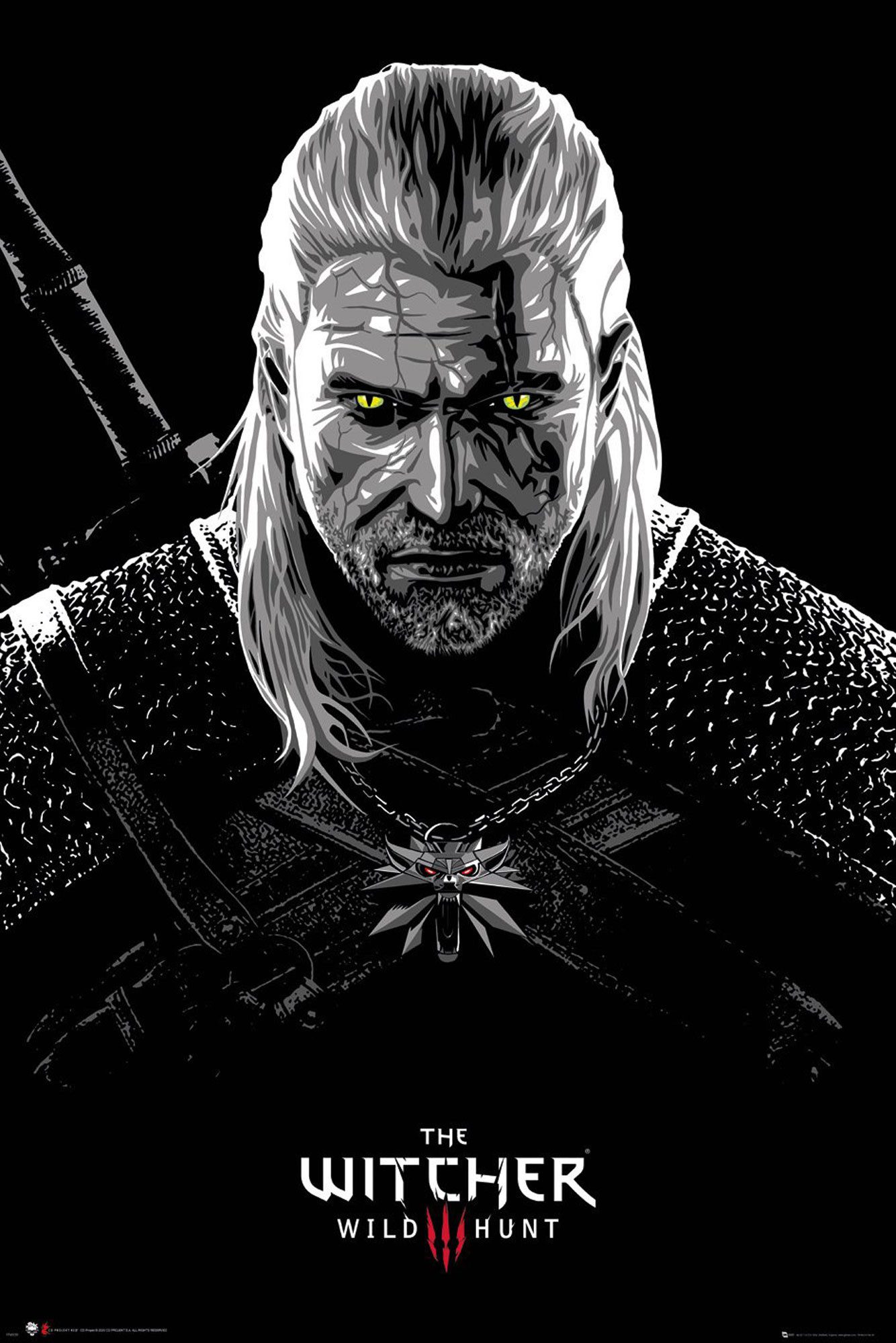 Poster Witcher, The - Плакат - Toxicity Poisoning