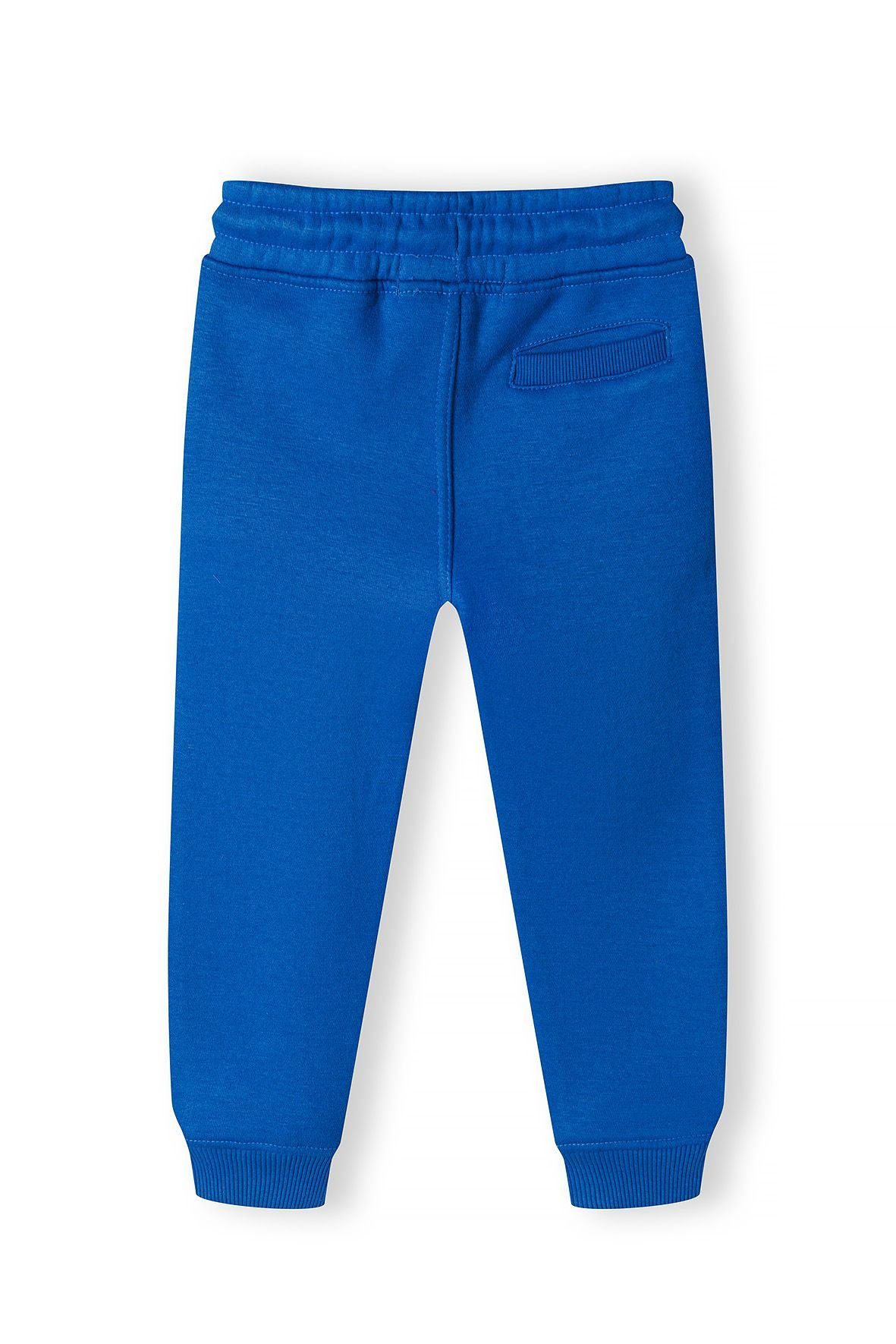 MINOTI Jogger Pants Jogginghose (1y-14y) günstig online kaufen