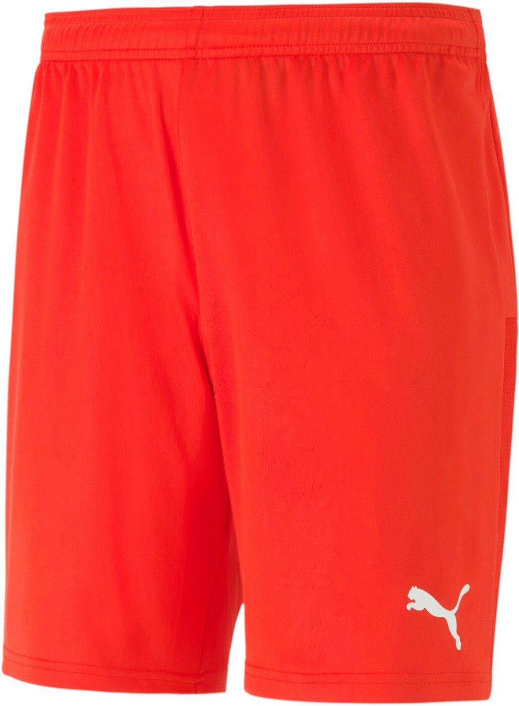 Puma Tec Funktionsshorts teamGOAL 23 Shorts knit