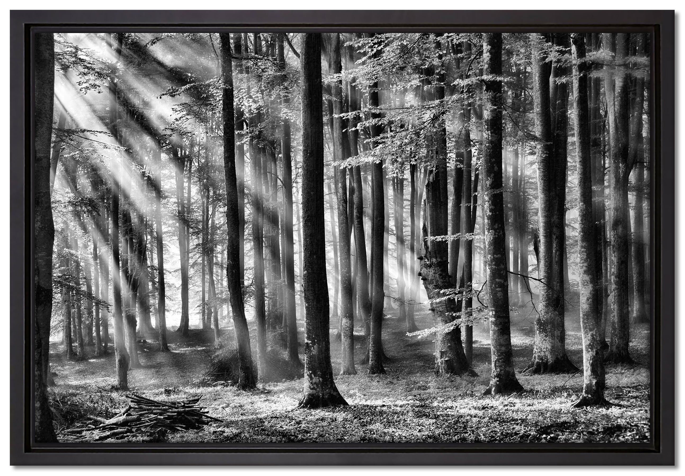 (1 Leinwandbild Licht, Bäume bespannt, fertig einem Schattenfugen-Bilderrahmen St), gefasst, inkl. Zackenaufhänger im Pixxprint in Leinwandbild Wanddekoration