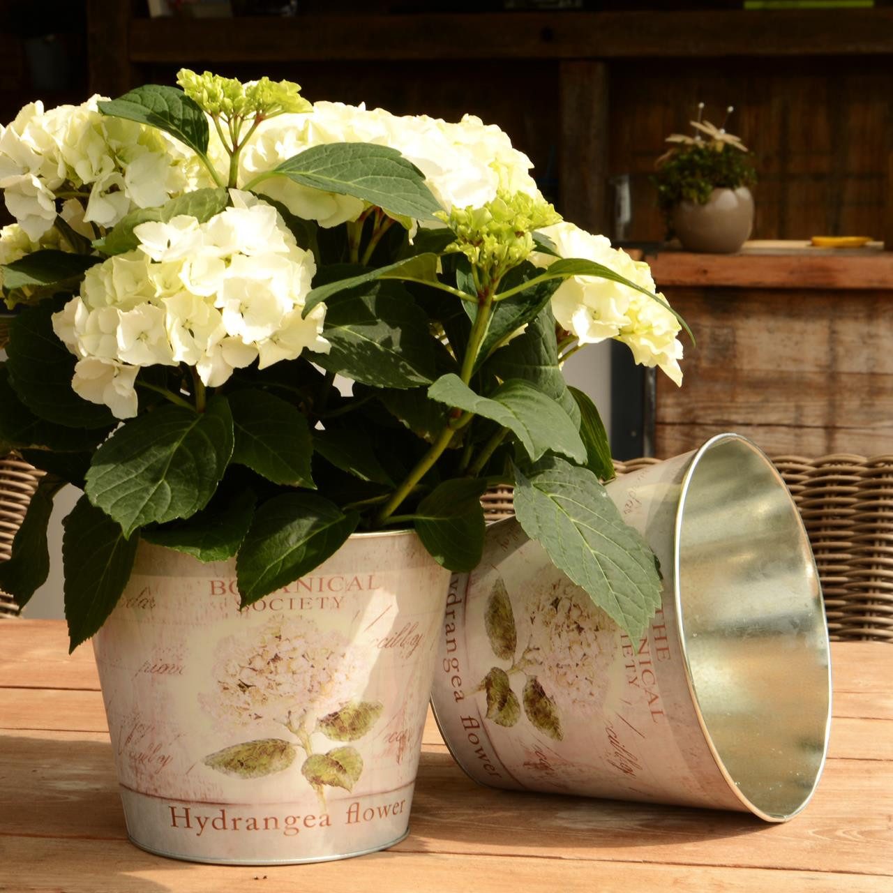 UNUS GARDEN Blumentopf Topf Zink rund günstig online kaufen