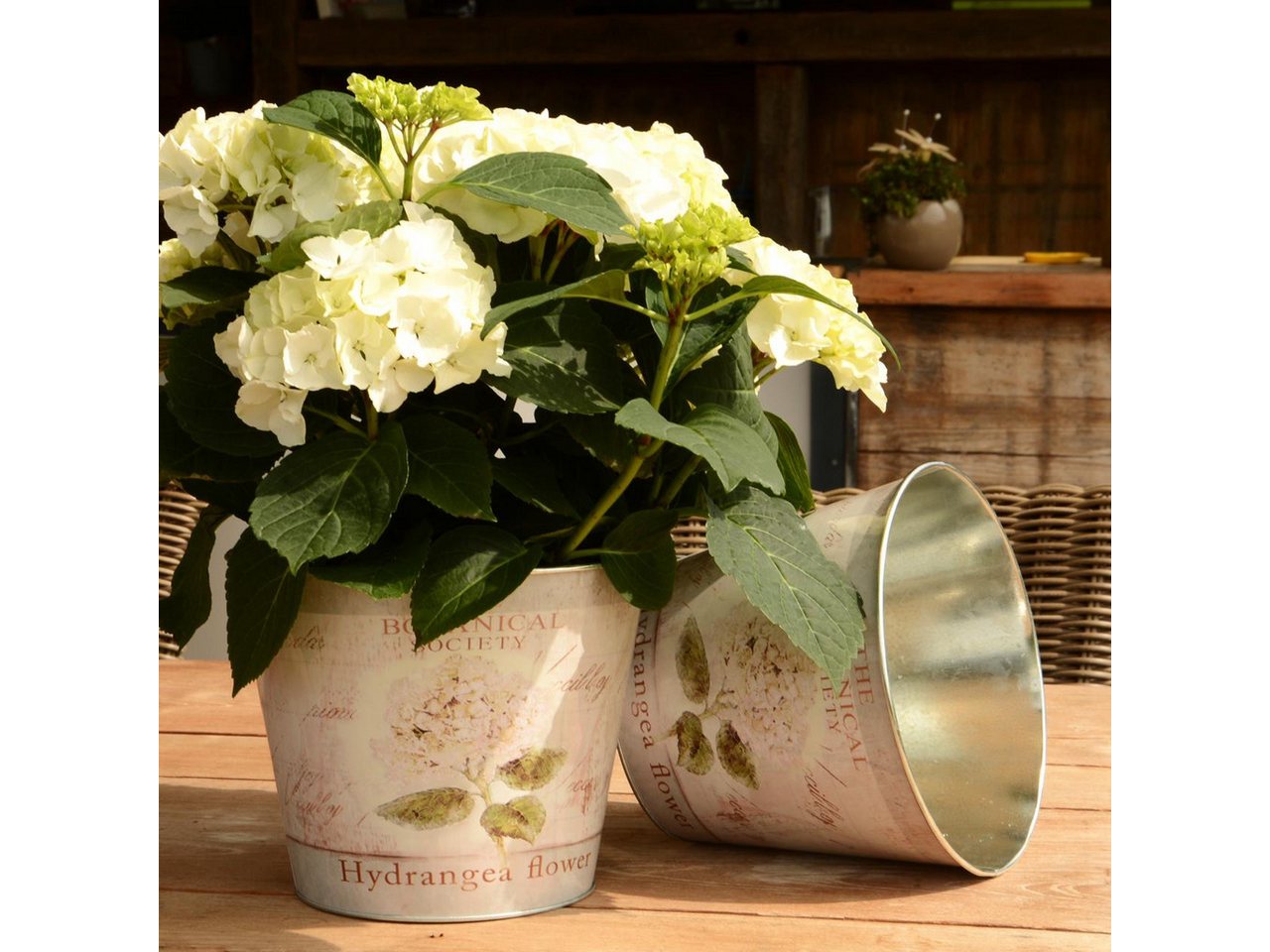 Thumbnail - UNUS GARDEN Blumentopf Topf Zink rund Hortensie 2er Set