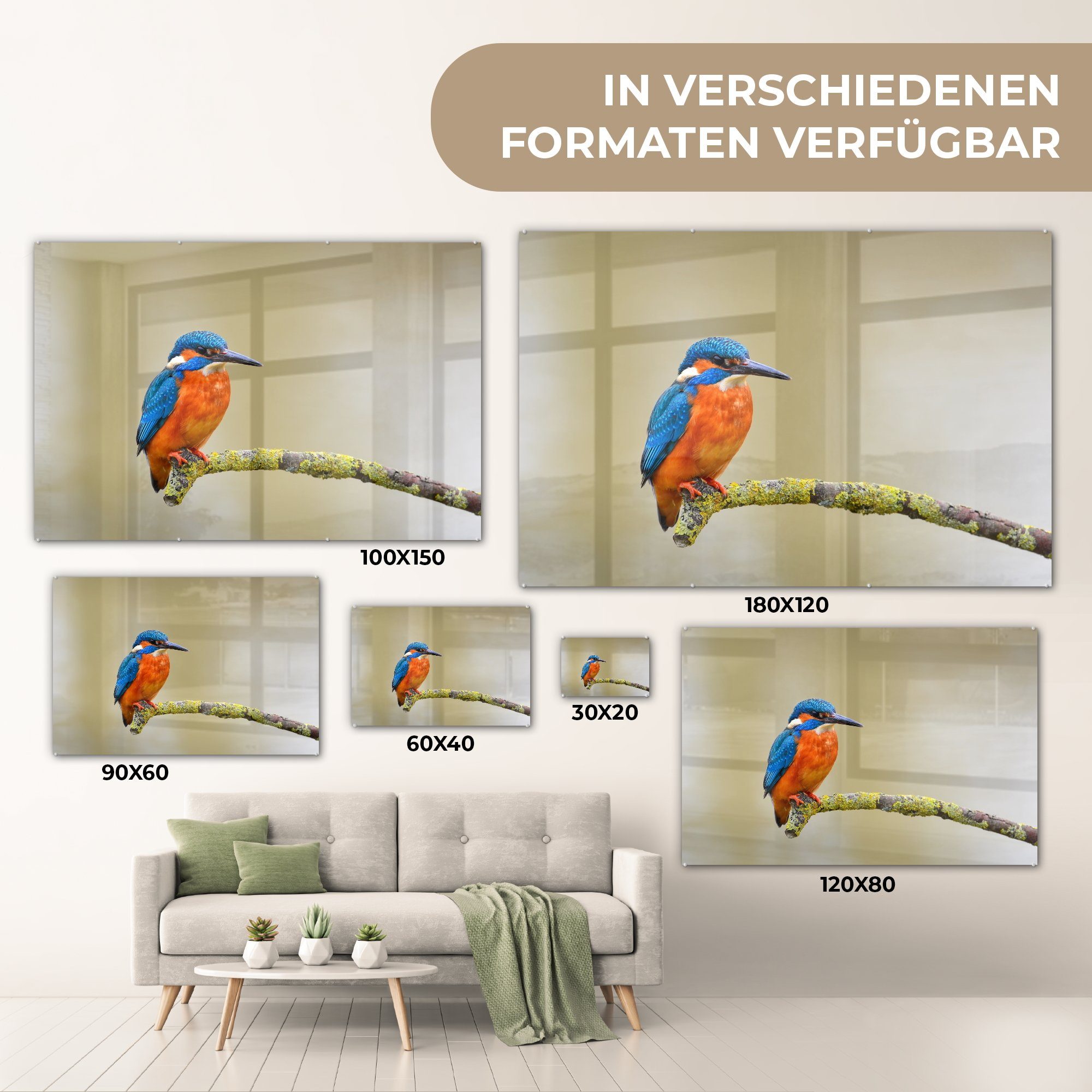 Vogel - Eisvogel St), - (1 Zweig, MuchoWow & Acrylglasbilder Schlafzimmer Wohnzimmer Acrylglasbild