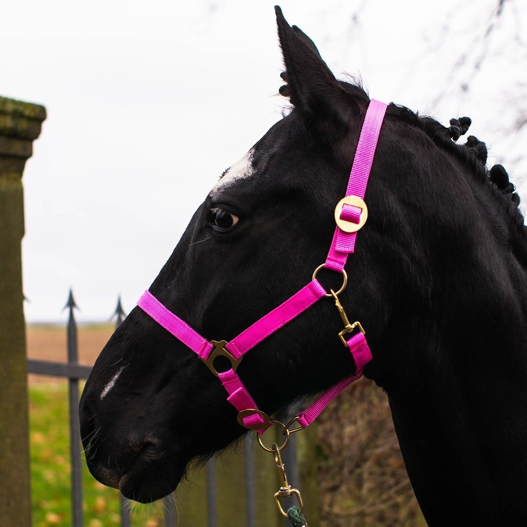 und Halfter Pferdelinis Pferde zweifach verstellbar Kinnriemen Genickstück, an für 2-Fach pink verstellbar Halfter