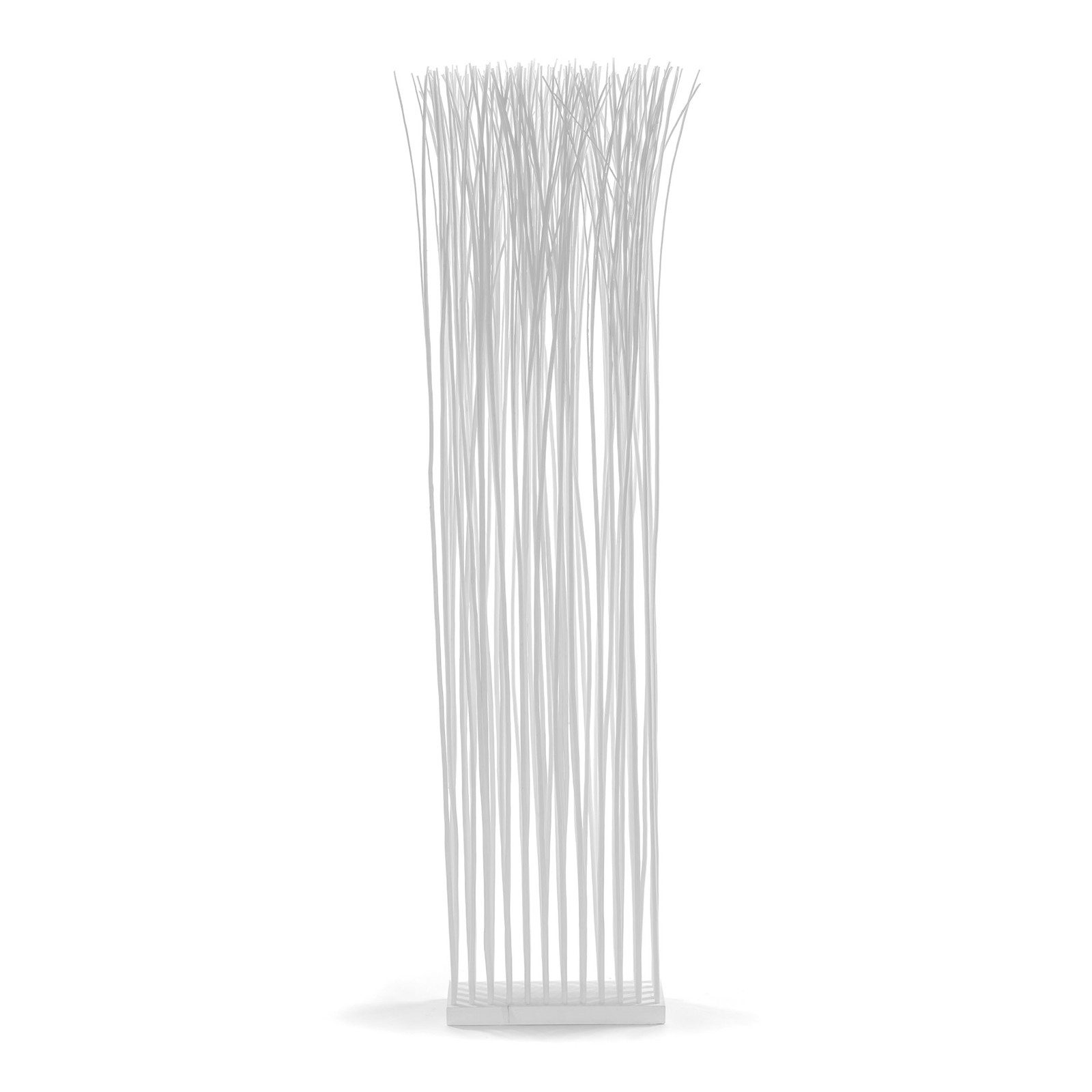 DESIGN DELIGHTS Paravent RAUMTEILER "SLIM", Weide, 170x40cm, Paravent Zweig günstig online kaufen
