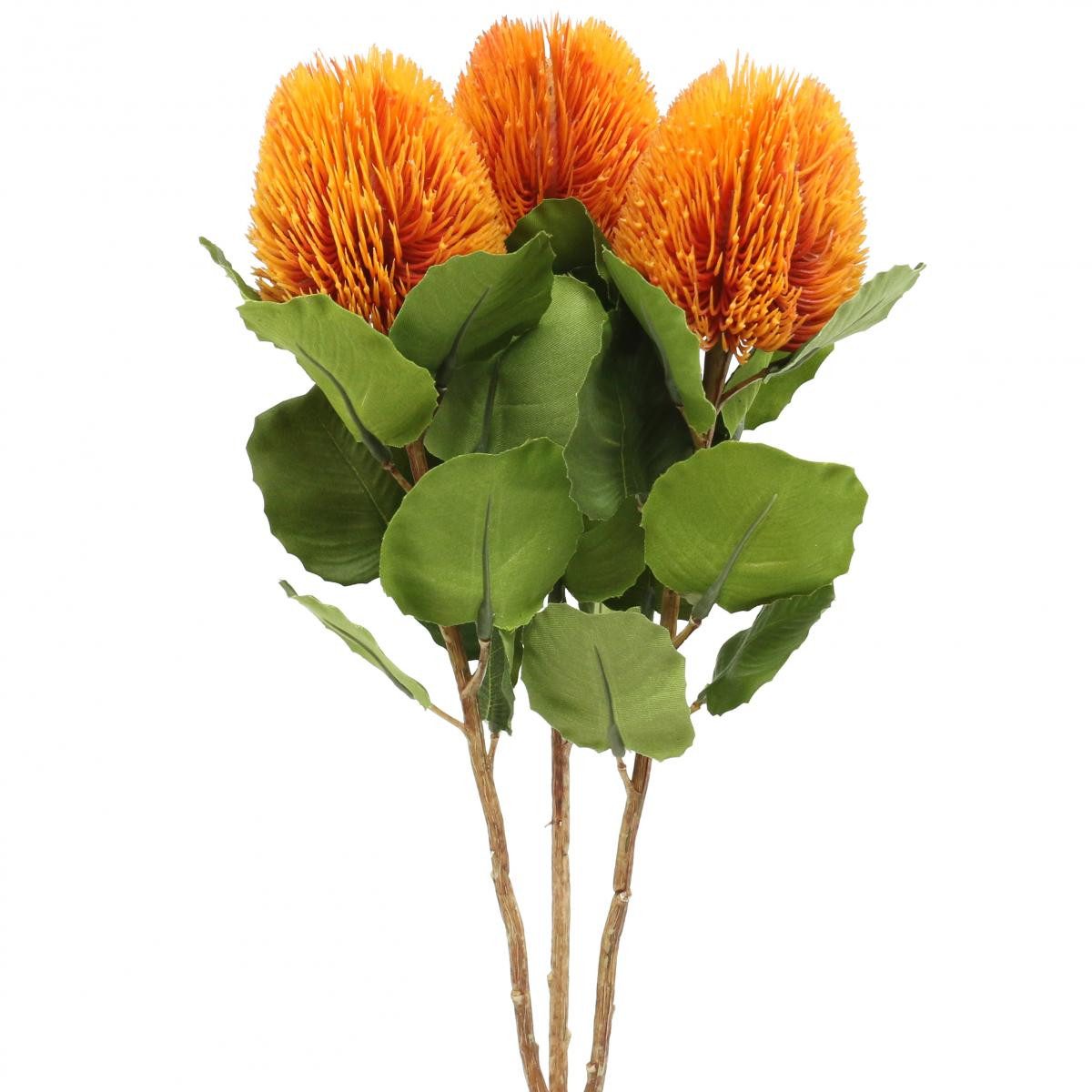 Kunstblume Kunstblumen Banksia Orange 58cm Proteaceae 3er-Set Deko, Viana, günstig online kaufen