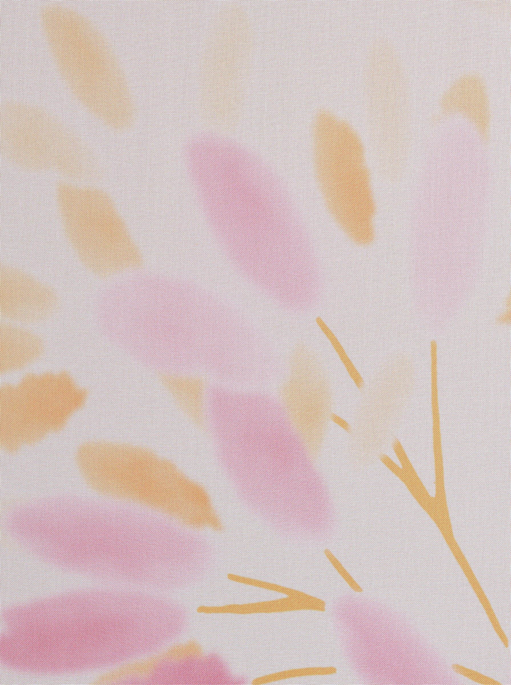 Rollo Raffrollo, heine, transparent, Ösen mit Fensterhaken