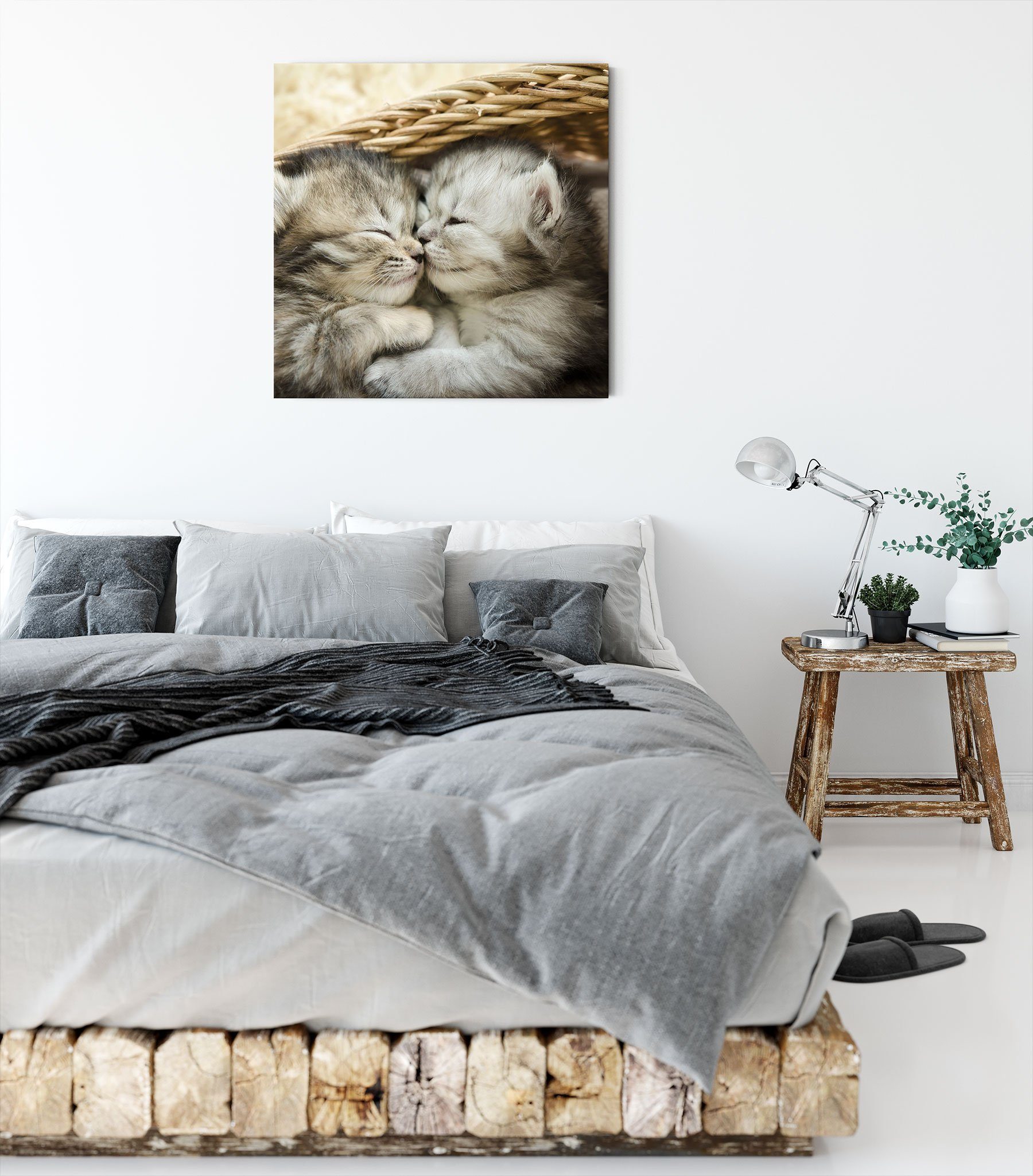 St), Leinwandbild fertig (1 Baby bespannt, Leinwandbild Pixxprint Katze, Katze Baby Zackenaufhänger inkl.