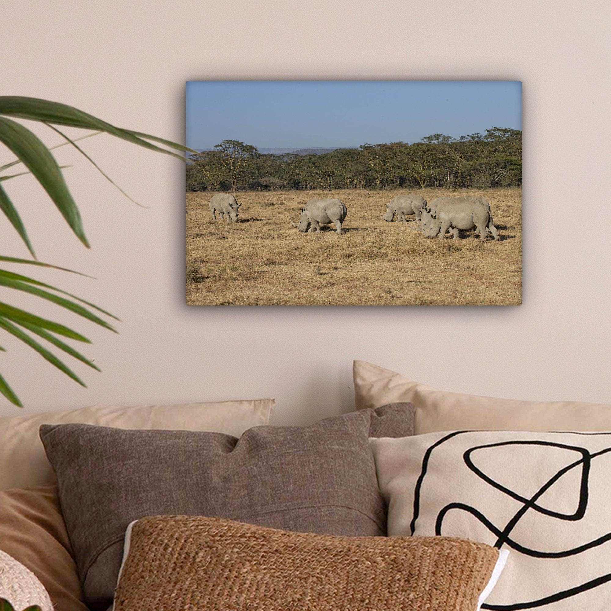- Nashörner Safari, Leinwandbild Aufhängefertig, Leinwandbilder, - cm Weiden Wanddeko, (1 OneMillionCanvasses® 30x20 Wandbild St),