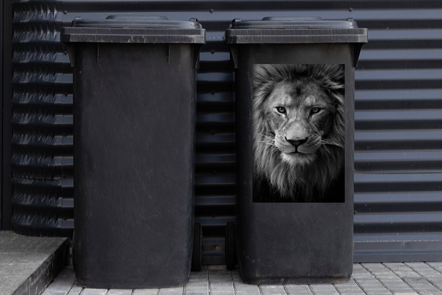 Mülltonne, Porträt schwarz Wandsticker und weiß (1 Mülleimer-aufkleber, Abfalbehälter St), Afrikanischer MuchoWow Sticker, Container, Löwe -