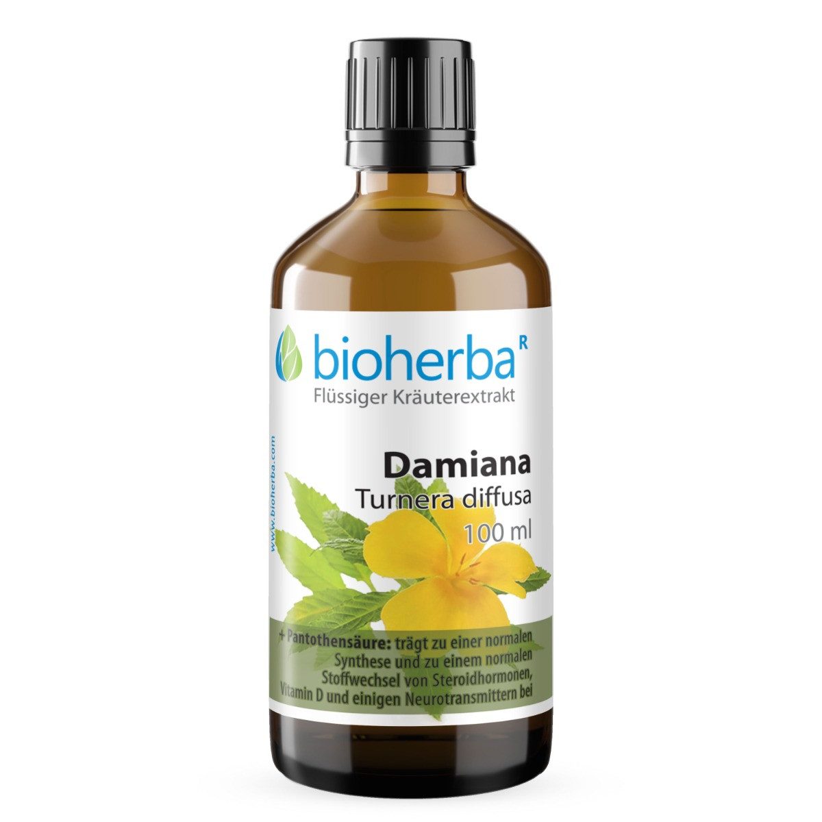 BIOHERBA R Bioherba Damiana Turnera diffusa Tropfen Tinktur 100 ml Nahrungsergänzungsmittel, 1 er