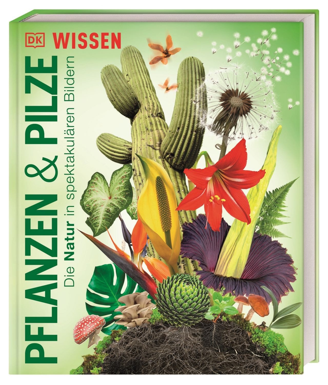 DK Wissen. Pflanzen und Pilze / diverse