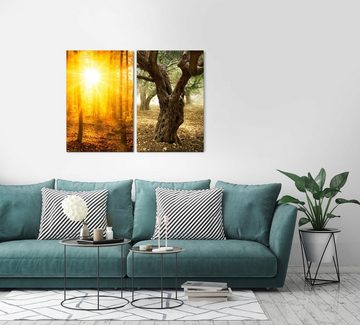 Sinus Art Leinwandbild 2 Bilder je 60x90cm Herbst Wald Sonnenstrahlen alter Baum warmes Licht Wärme Stille